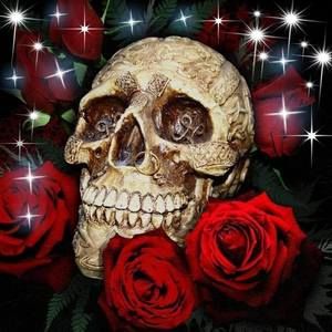 Meet your Posher, Judith